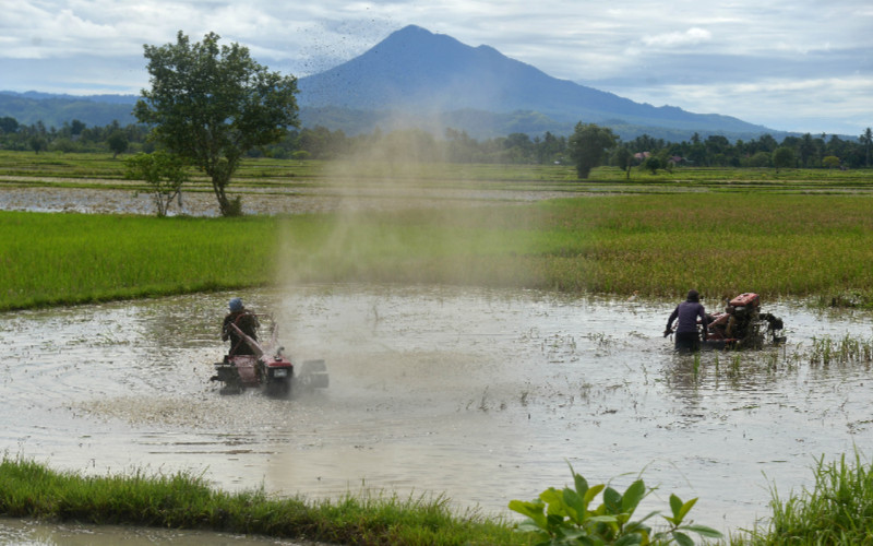 Petani membajak sawah menggunakan traktor tangan di Desa Samahani, Kecamatan Kuta Malaka, Kabupaten Aceh Besar, Aceh, Sabtu (2/5 - 2020). / ANTARA