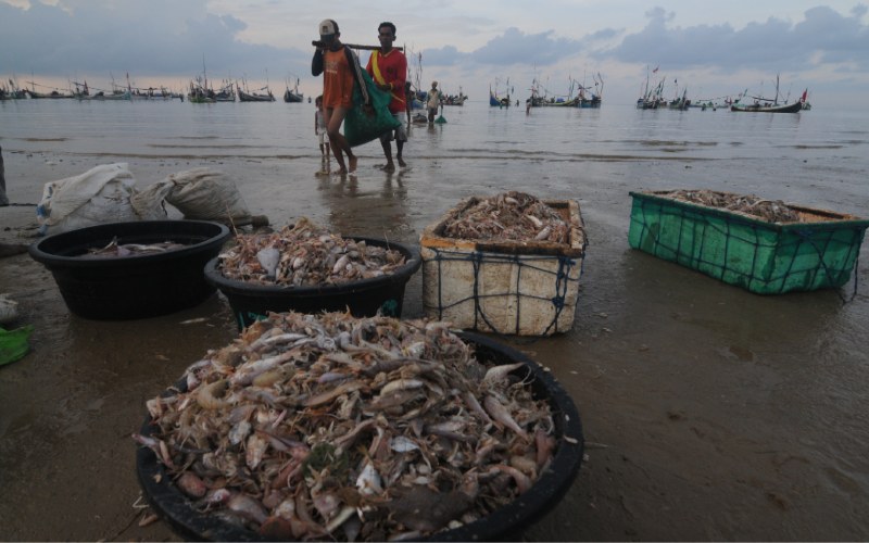 Nelayan menurunkan ikan tangkapannya di Pantai Jumiang, Pamekasan, Jawa Timur, Selasa (7/4 - 2020). ANTARA
