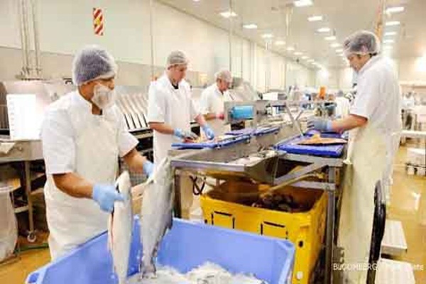 Permintaan Ekspor Produk Ikan Olahan Meningkat 20 Persen - Surabaya