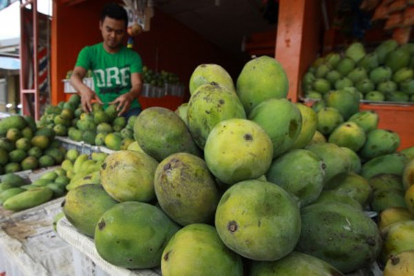 5 Manfaat Konsumsi Pepaya Muda Untuk Kesehatan Kaya Nutrisi Hot Liputan6 Com