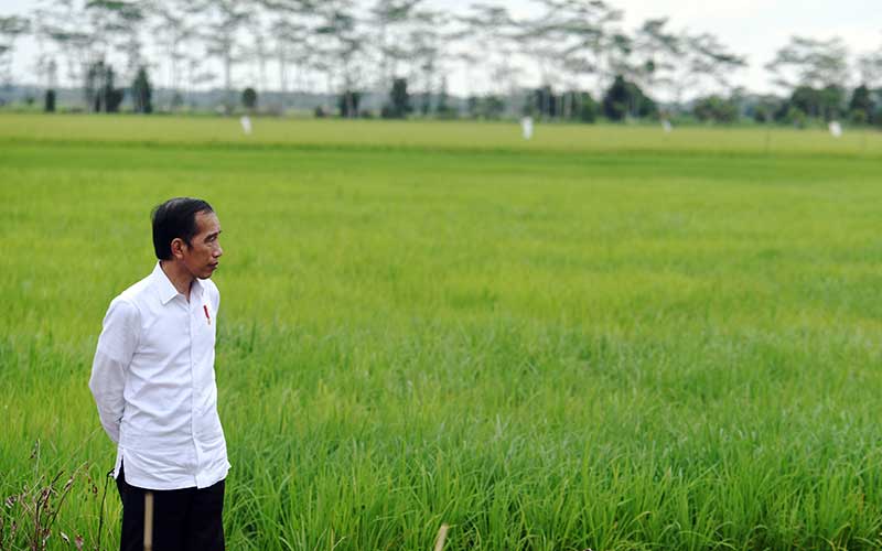 Indonesia Dihadapkan Tantangan Agrikultur dan Ketahanan Pangan