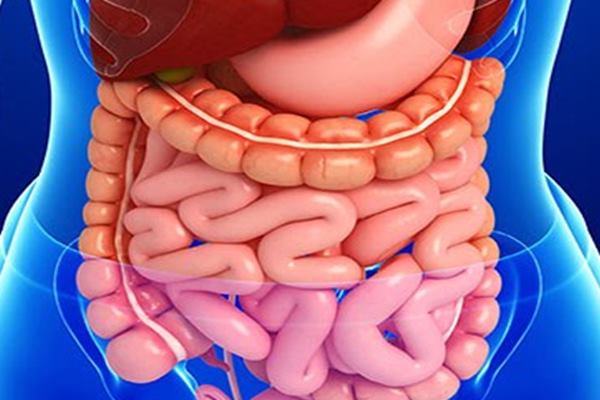 Prebiotik Bisa Lindungi Kesehatan Pencernaan Anak