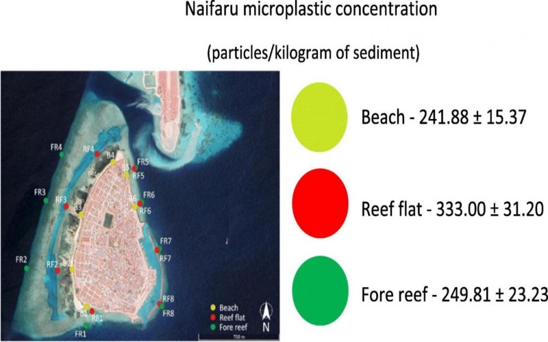 Peta konsentrasi mikroplastik di sekitar Naifaru, sebuah pulau di Maladewa 141 km sebelah utara ibu kota, Mal. Sumber: Science of the Total Environment Journal 