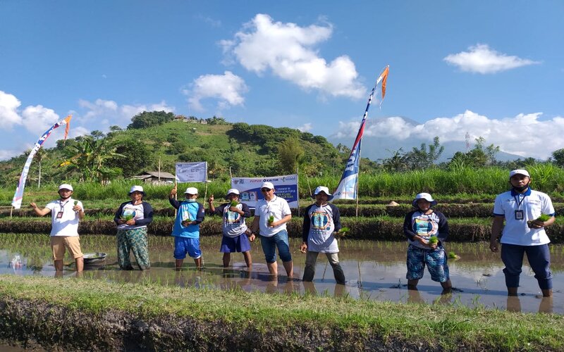 Pupuk Kaltim bersama kelompok petani dalam pembuatan demplot di Desa Peladung, Kecamatan Karangasem, Kabupaten Karangasem, Provinsi Bali pada Senin (10/8 - 2020).