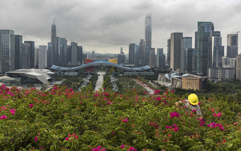 Properti di Shenzhen, China, terlihat di latar belakang Taman Linhua./Bloomberg - Qilai Shen