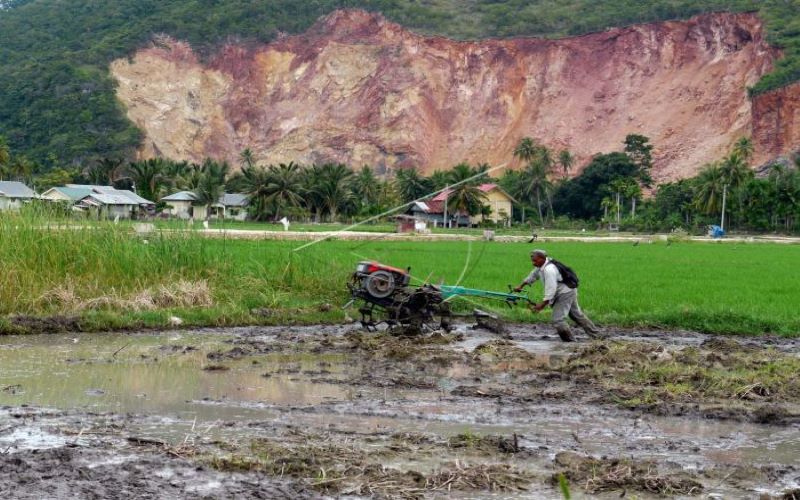ACEH BESAR, ACEH, 31/12 - PRODUKTIFKAN RAWA GAMBUT. Petani mengolah lahan rawa gambut untuk tanaman padi di Desa Keudebing, Lhoknga, Aceh Besar, Aceh, Senin (31/12). Seluas 144.000 hektare lahan rawa gambut di Aceh, sebagian mulai diproduktifkan untuk tanaman padi dan palawija guna meningkatkan penghasilan petani dan ketahanan pangan. - Antara/Ampelsa