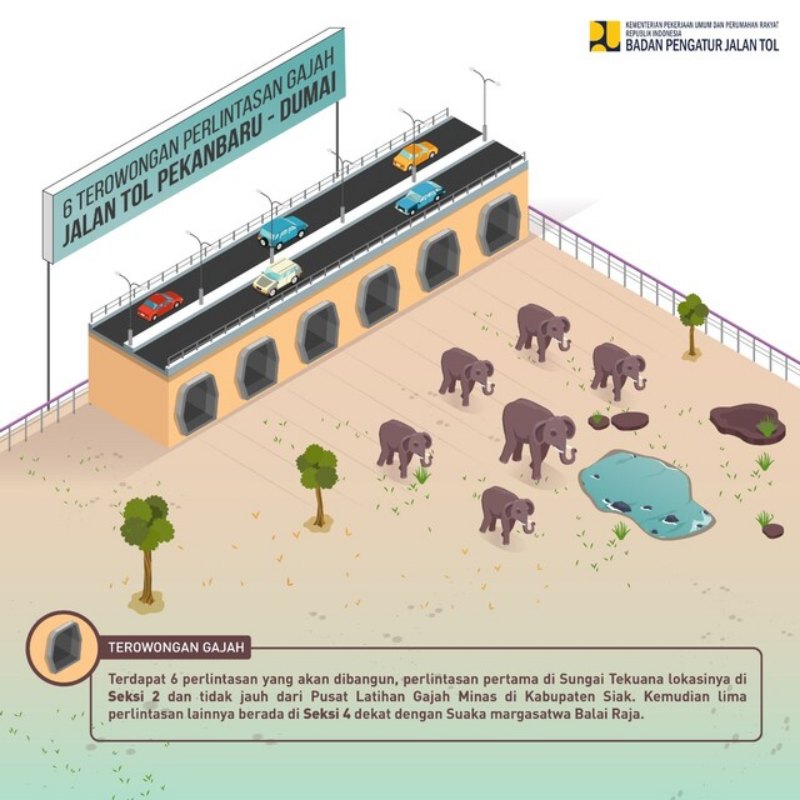 Ilustrasi terowongan perlintasan gajah di jalan tol Pekanbaru--Dumai. - Istimewa - BPJT