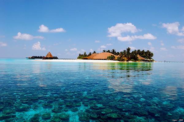 Maldive, Destinasi Wisata yang Berdampingan dengan Covid-19