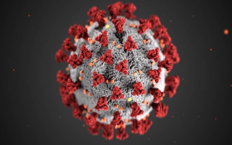 Seseorang Bisa Kena Infeksi Virus Corona Lebih dari Sekali, Hasil  Penelitian Bervariasi - Kabar24 Bisnis.com