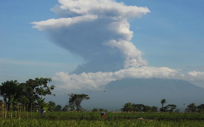 Erupsi Gunung Merapi terlihat dari Sawit, Boyolali, Jawa Tengah, Minggu (21/6/2020). Berdasarkan data pengamatan Balai Penyelidikan dan Pengembangan Teknologi Kebencanaan Geologi (BPPTKG), terjadi erupsi Gunung Merapi pada pukul 09.13 WIB dengan aplitudo 75 mm, durasi 328 detik dan tinggi kolom erupsi kurang lebih 6.000 meter dari puncak. ANTARA FOTO - Aloysius Jarot Nugroho