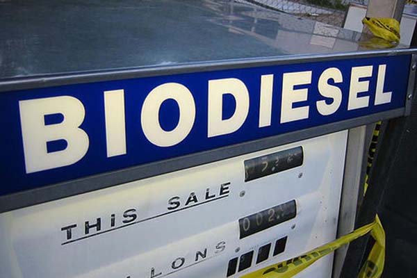 Ilustrasi biodiesel - Reuters