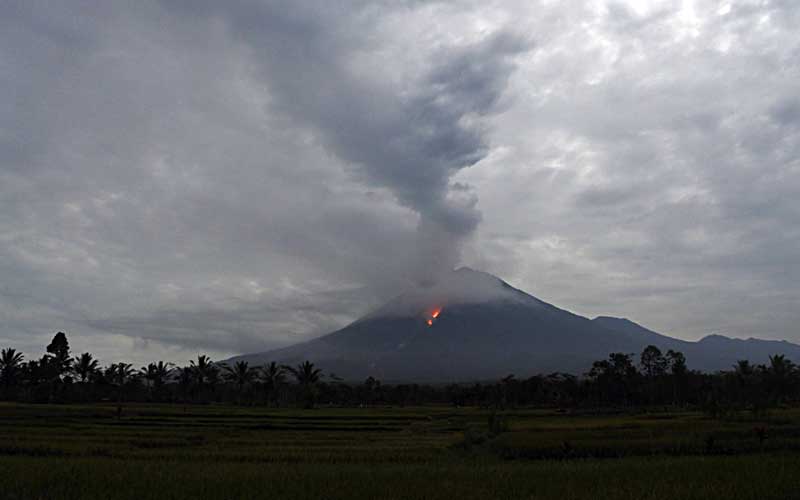 Gunung Semeru Waspada Awan Panas Meluncur Sampai 1 5 Kilometer Kabar24 Bisnis Com