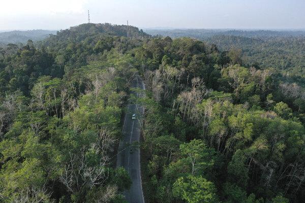 Foto aerial Taman Hutan Raya (Tahura) Bukit Soeharto di Kutai Kartanegara, Kalimantan Timur, Sabtu (31/8/2019). Sebagian dari kawasan yang masuk sebagai hutan konservasi itu nantinya akan digunakan untuk wilayah ibu kota baru. - ANTARA FOTO/Akbar Nugroho Gumay