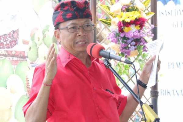 Gubernur Bali Wayan Koster - Antara