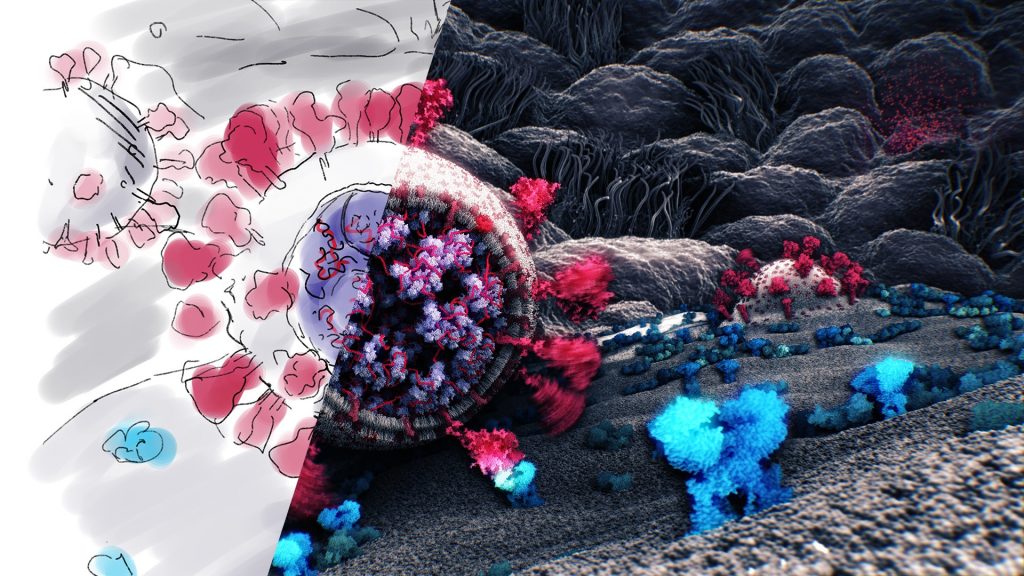 Ini Gejala Infeksi Virus Corona yang Sulit Dideteksi – Netral.News