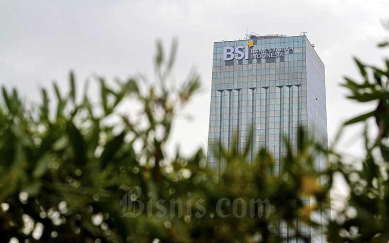 Bank Syariah Indonesia (BRIS) Ibarat Bayi Raksasa Baru Lahir, PR Masih Banyak