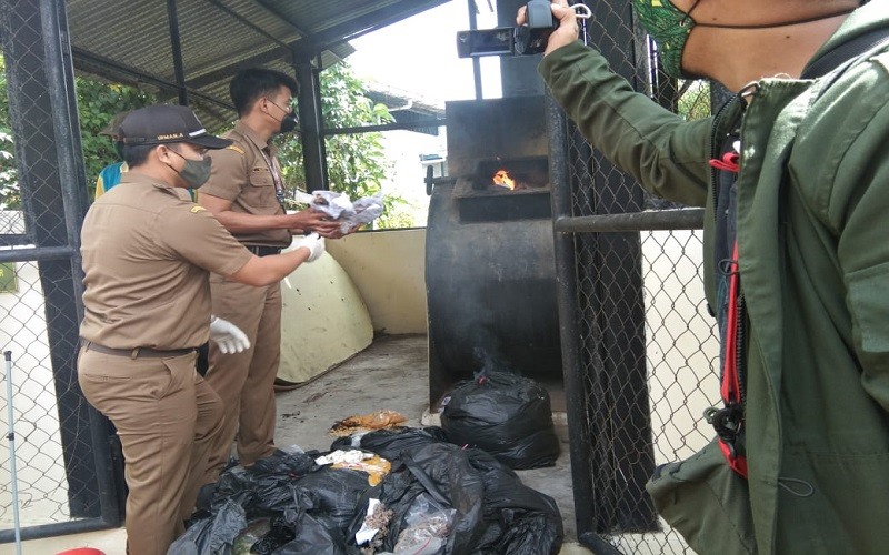 Petugas Balai Besar Karantina Pertanian Makassar menunjukkan tanaman hias ilegal yang akan dimusnahkan, Senin (9/2/2021) - Wahyu Susanto