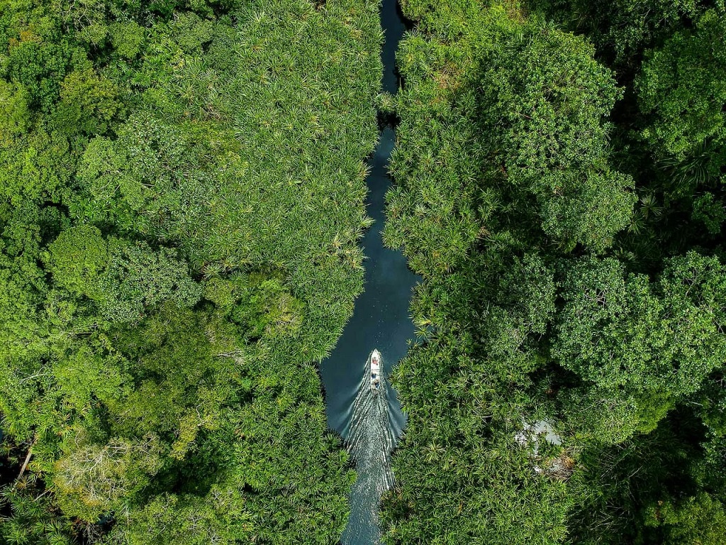 Foto: Aerial Restorasi Ekosistem Riau, program konservasi dan restorasi ekosistem di lahan gambut yang diinisiasi Grup APRIL