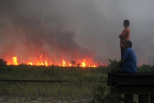 Ilustrasi / Titik api pemicu kebakaran hutan dan lahan.