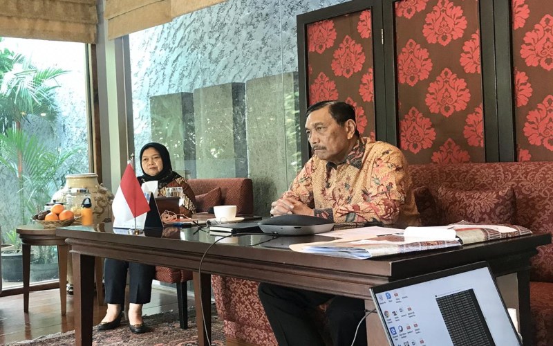 Menko Kemaritiman dan Investasi Luhut B. Pandjaitan dalam Digital Launch of Indonesia's Multi-Stakeholder Action Plan, Rabu (22/4/2020). Istimewa -  Humas Kemenko Marves