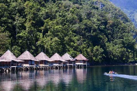 Ilustrasi resort natural dan premium di Indonesia  -  Istimewa