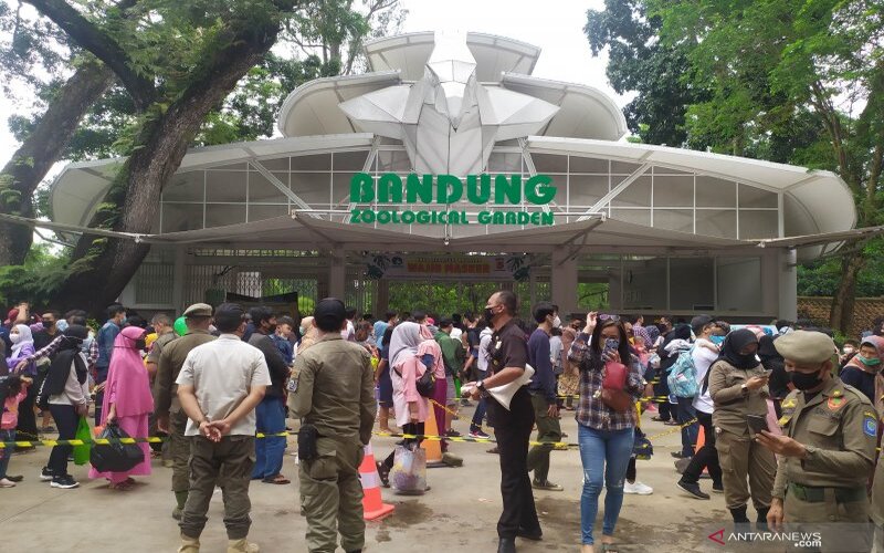 Petugas Satuan Polisi Pamong Praja mengatur antrean pengunjung Kebun Binatang Bandung di Kota Bandung, Jawa Barat, Minggu (16/5/2021). - Antara/Bagus Ahmad Rizaldi.