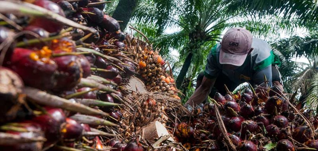 harga minyak hari ini malaysia