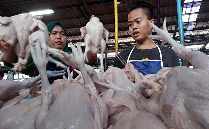 Pedagang menyusun ayam potong di Pasar Modern, Serpong, Tangerang Selatan, Senin (2/6/2019). - Bisnis/Endang Muchtar