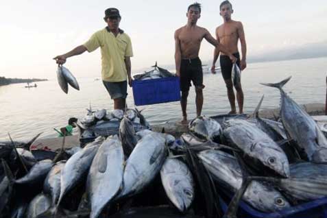 Ilustrasi nelayan mengumpulkan tangkapan ikan