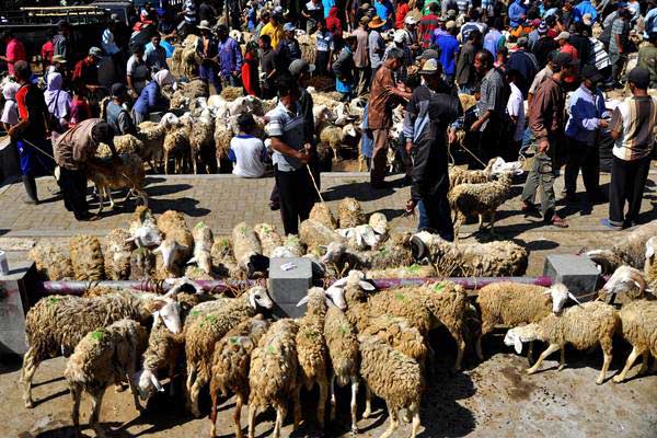 Pedagang dan pembeli kambing bertransaksi di pasar hewan Kranggan, Temanggung, Jateng, Senin (28/8). - ANTARA/Anis Efizudin