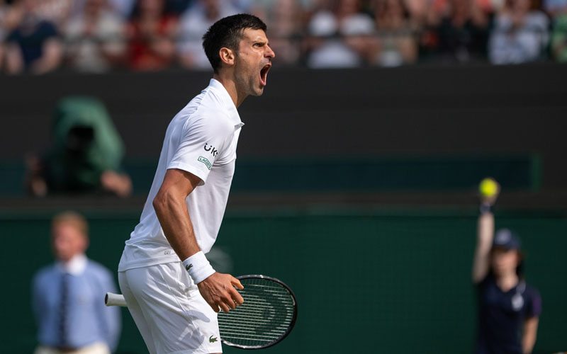Djokovic Ke Final Wimbledon Lawan Berrettini Usai Kalahkan Shapovalov Sport Bisnis Com