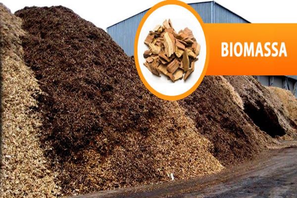 Biomassa - Ilustrasi/ptpjb.com