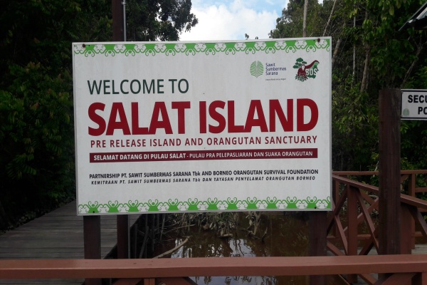 Pulau Salat, Kalimantan Tengah./Bisnis - Riendy Astria