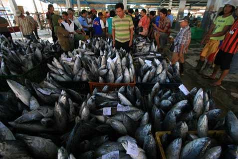 Peluang Ekspor ke AS dan China Besar, Ini PR Industri Budidaya Ikan