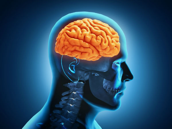 Tips menjaga kesehatan otak - boldsky.com