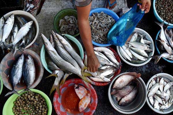 Pedagang mengemas ikan laut di Pasar Bandarjo, Ungaran, Kabupaten Semarang, Jawa Tengah, Senin (5/6). - Antara/Aditya Pradana Putra