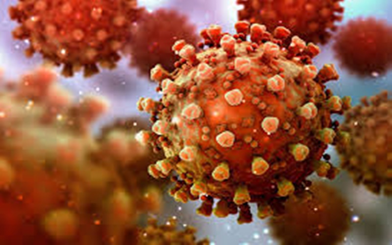 Virus corona varian lambda yang kini menyebar di Jepang