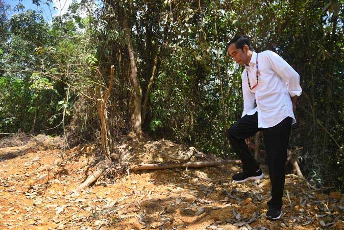 Presiden Joko Widodo berjalan di kawasan hutan saat meninjau salah satu lokasi calon ibu kota negara di Gunung Mas, Kalimantan Tengah, Rabu (8/5/2019). - ANTARA/Akbar Nugroho Gumay