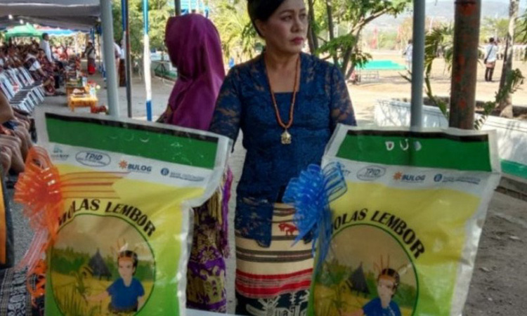 Beras lokal jenis premium Molas Lembor yang diproduksi para petani Lembor di Kabupaten Manggarai Barat, Pulau Flores, Provinsi Nusa Tenggara Timur. Foto: Antara dari BI Perwakilan NTT
