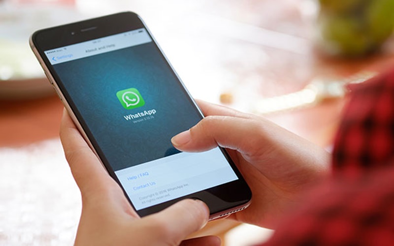 Ilustrasi aplikasi Pesan WhatsApp di ponsel iPhone - Istimewa