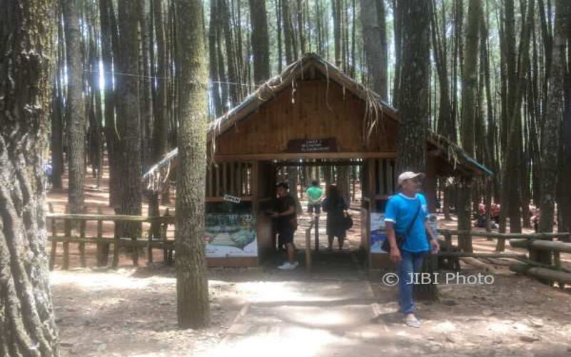 Suasana di depan pintu masuk objek wisata hutan pinus Mangunan, Dlingo, Bantul, Jumat (3/11/2017). - JIBI/Santi Afdilah.