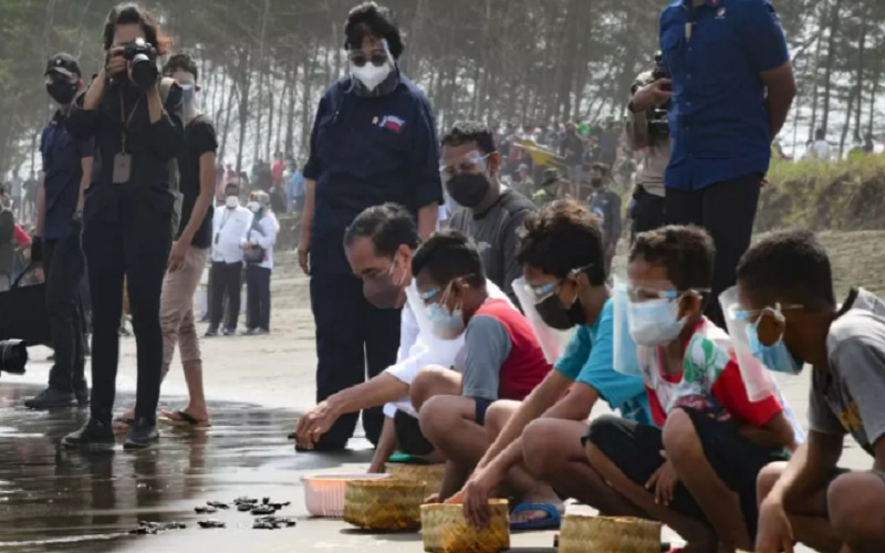 Presiden Joko Widodo lepasliarkan 1.500 ekor tukik di Pantai Kemiren Cilacap. - Istimewa