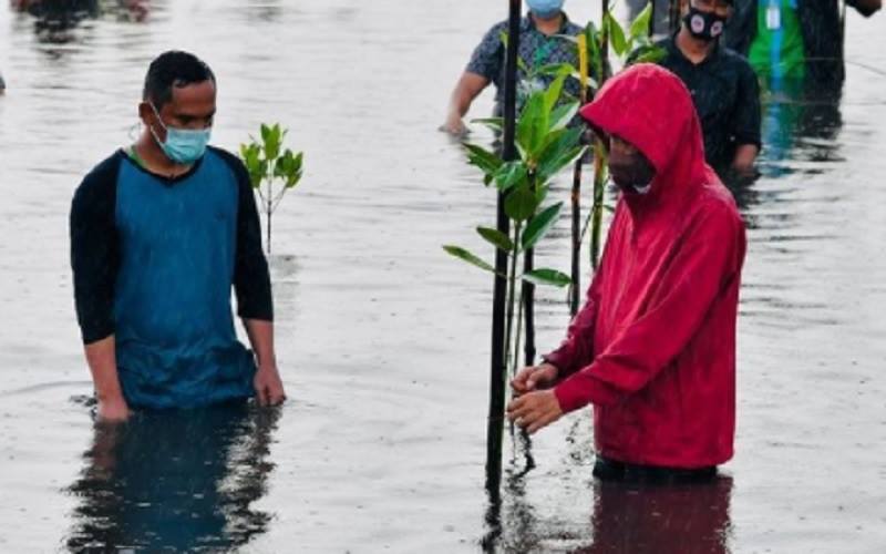 Presiden Joko Widodo atau Jokowi ikut menanam mangrove di Pantai Setokok, Kota Batam, Provinsi Kepulauan Riau, meski kondisi air sedang pasang, Selasa, (28/9/2021). - Instagram @jokowi