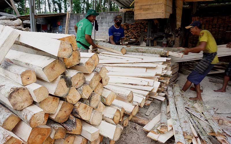 Pekerja menggergaji log kayu sengon menjadi menjadi produk papan sirap di sentra industri kayu olahan di Lumajang, Jawa Timur, Sabtu (17/7/2021).  - Antara Foto/Destyan Sujarwoko/nz