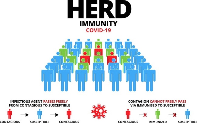 Herd Immunity - alodokter