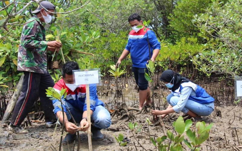 Pertamina Patra Niaga Regional Jawa Bagian Tengah, melalui unit operasi Integrated Terminal Cilacap (ITC), kembali menanam 5000 bibit mangrove di area pesisir Sungai Segara Anakan di Kabupaten Cilacap, Sabtu (18/9/2021).  - Foto: Istimewa