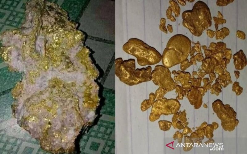 Bongkahan emas yang ditemukan warga Desa Ujan Mas, Kecamatan Sungai Are, Kabupaten Ogan Komering Ulu (OKU) Selatan, Sumatera Selatan, di aliran Sungai Are. - ANTARA