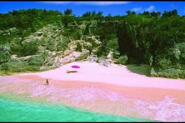 Pantai Pink di NTT. - Youtube