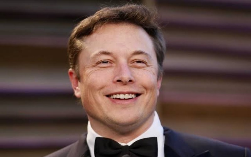 Elon Musk - Istimewa