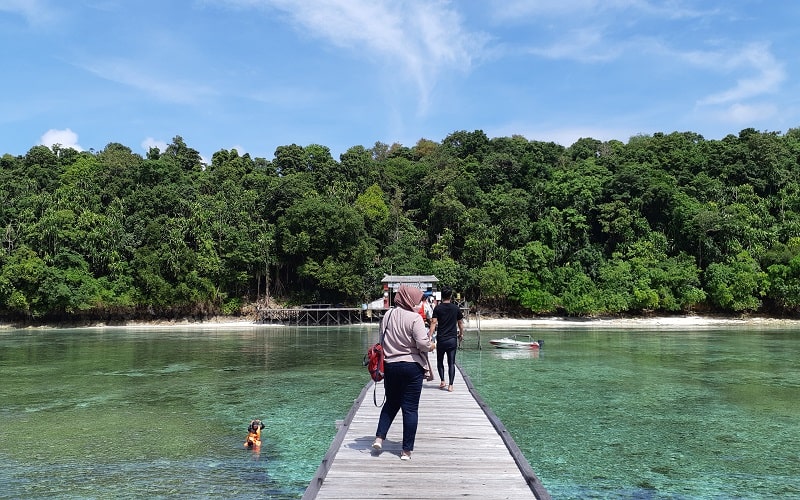 Pulau Kakaban, Kabupaten Berau, Kalimantan Timur. - Bisnis/ Muhammad Mutawallie Sya'rawie